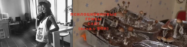 скорость Алзамай